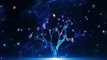 大树爆料视频大全下载  第2张