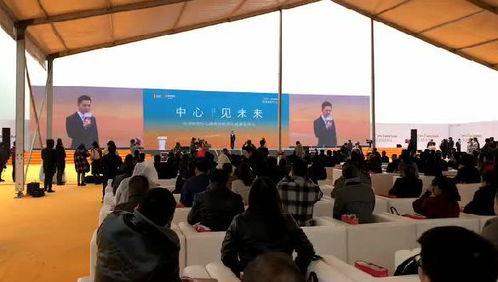 安徽阜阳热点爆料新闻,揭秘当地最新爆料新闻背后的真相  第1张